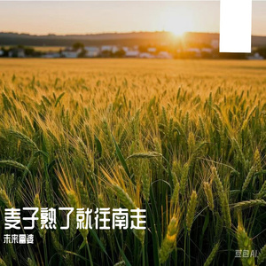 嘉明任务动画免费资源获取
